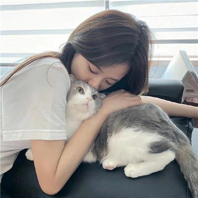 小鱼儿与花无缺